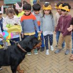 Pet Parade
