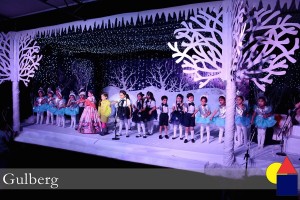 DSC_2690-300x200